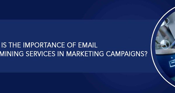 What is the Importance of Email Data Mining Services in Marketing Campaigns?