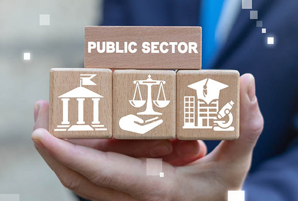Public Sector for Case Studies